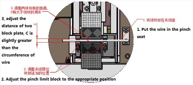 dolama illustation.jpg